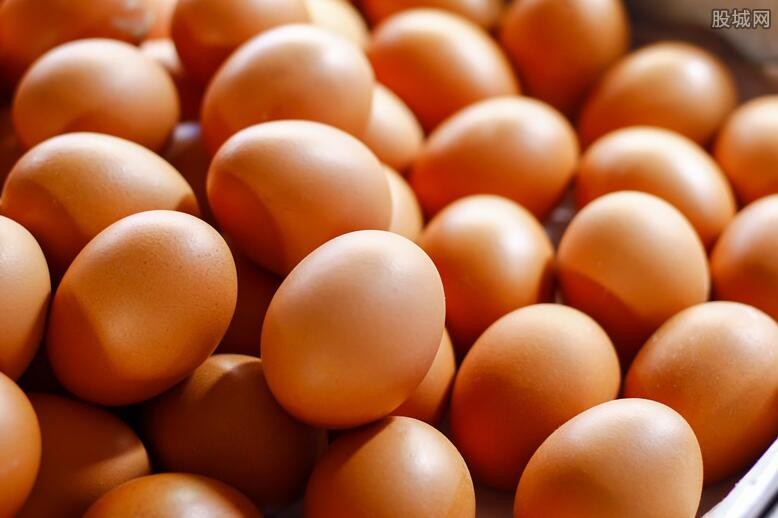 鸡蛋价格最新消息